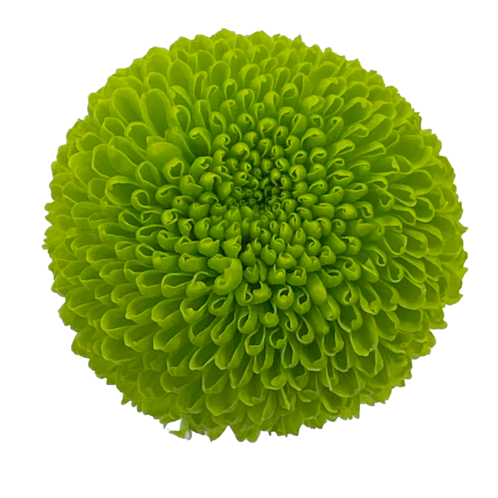 Green Ball